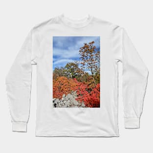 Autumn Carso Near Aurisina Long Sleeve T-Shirt